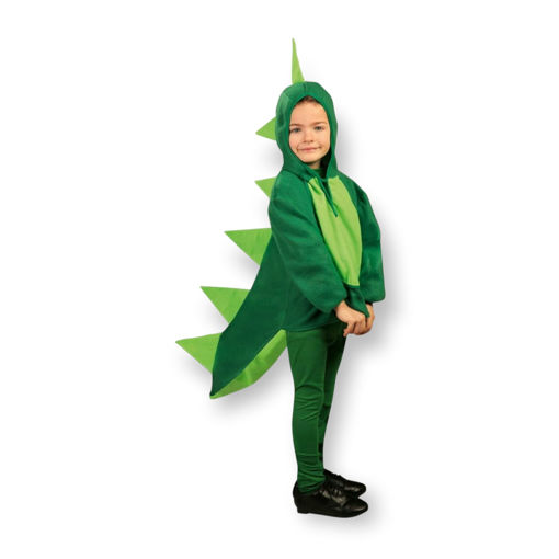 Picture of DINOSAUR SPIKEY AGE 7 TO 9
